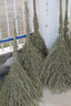 姚河竹掃把大號老式馬路掃帚庭院戶(hù)外掃把工廠(chǎng)車(chē)間專(zhuān)用笤帚一體五把裝 曬單實(shí)拍圖