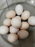 趣嘗鮮可生食標準鮮雞蛋30枚 凈重2.7斤 谷物喂養早餐食材 源頭直發(fā) 曬單實(shí)拍圖