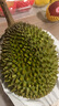什果樂(lè )貓山王榴蓮（D197）馬來(lái)西亞進(jìn)口帶殼整果液氮冷凍水果禮盒 尊選果凈重3.5-4.0斤（包4房） 曬單實(shí)拍圖
