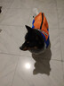 秋冬加厚狗狗棉衣中大型犬防寒保暖寵物服裝保暖反光防水寵物衣服 藍橘【加厚毛領(lǐng)款】 2XL（頸47胸64背48）23-30斤 棉衣 曬單實(shí)拍圖