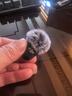 大疆（DJI） Mic Mini 迷你無(wú)線(xiàn)麥克風(fēng) 降噪領(lǐng)夾麥克風(fēng) 戶(hù)外采訪(fǎng)直播 vlog 手機相機微小型原聲級收音麥 【手機可用】一拖一 官方標配【適配安卓+蘋(píng)果15/16/17系列】 曬單實(shí)拍圖