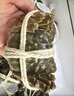 【活蟹】陽(yáng)澄聯(lián)合鮮活大閘蟹現貨全母蟹3.0-3.3兩8只生鮮螃蟹大只去繩足重海鮮禮盒 曬單實(shí)拍圖