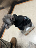 JCZS狗狗衣服2025新款黑色克羅心秋冬加絨馬爾濟斯泰迪小型犬寵物衛衣 克羅心黑色加絨衛衣 L【建議9-11斤】 曬單實(shí)拍圖
