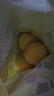 京鮮生 梅州白心蜜柚 單果1.7起 凈重10斤 生鮮水果 源頭直發(fā)包郵 曬單實(shí)拍圖