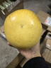 福建平和老樹(shù)紅柚 新鮮現摘 皮薄肉厚多汁 蜜柚柚子 1-1.5斤（嘗鮮） 曬單實(shí)拍圖