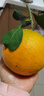 春公子正宗四川愛(ài)媛38號果凍橙 時(shí)令水果橘子 當季桔子應季柑橘禮盒 整箱9-10斤裝一級果85-95mm凈重8.5斤+ 曬單實(shí)拍圖