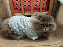 SUOLUOMEN貓咪衣服寵物狗狗衣服保暖秋冬季外套布偶德文無(wú)毛貓幼貓幼犬外套 M 【藍色建議3.5-5斤】 曬單實(shí)拍圖