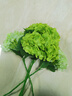 花點(diǎn)馨意仿真繡球花深綠色假花裝飾擺件餐桌花束插花拍照道具擺設 5支9729 曬單實(shí)拍圖