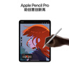 Apple/蘋(píng)果 Pencil Pro 磁吸觸控筆手寫(xiě)筆蘋(píng)果筆電容筆書(shū)寫(xiě)繪畫(huà)ipad筆 適用于iPad mini/Pro/Air 曬單實(shí)拍圖