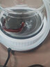 從簡加厚高硼硅玻璃茶洗帶蓋大號(hào)茶杯器皿電陶爐家用耐高溫茶具消毒鍋 玻璃雙耳茶洗+白色電陶爐A15 曬單實(shí)拍圖