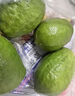 廣東香水檸檬新鮮檸檬奶茶店專(zhuān)用香水檸檬水果產(chǎn)地源頭直發(fā) （帶箱1斤）香水檸檬單果70g起 曬單實(shí)拍圖