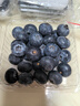 攀枝花米易花香L25藍莓鮮果純甜口感自家果園現摘現發(fā) 8盒 大果 20-22mm 曬單實(shí)拍圖