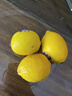優(yōu)味集進(jìn)口新奇士檸檬【JD順豐現貨速發(fā)】新鮮南非黃檸檬生鮮水果整箱 1斤凈重 商超級大果（單果120g+） 曬單實(shí)拍圖