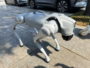 宇樹(shù)（Unitree）Go2 Air 機器狗 AI大模型 四足機器人 仿生陪伴機器人 具身智能  電子寵物 高端禮物 曬單實(shí)拍圖