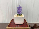 頂妃（DING FEI）琉璃小擺件桌面擺件多肉仙人掌豆芽盆栽辦公室玻璃工藝品生日禮物 風(fēng)信子-紫色 BG 曬單實(shí)拍圖