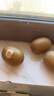 佳沛（zespri）新西蘭  陽(yáng)光金奇異果16粒禮盒經(jīng)典果單果約 77-103g 水果 獼猴桃 曬單實(shí)拍圖