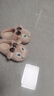 小豬班納男女寶室內外穿居家保暖軟底可愛(ài)卡通毛絨兒童棉拖鞋 粉色 34 曬單實(shí)拍圖