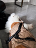 POPOCOLA狗狗衣服秋冬季保暖泰迪柴犬雪納瑞小型犬寵物棉服馬甲冬裝 米白色搖粒絨加絨馬甲 L【建議體重9~11斤】 曬單實(shí)拍圖