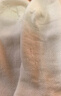 浪莎女士襪子女秋季網(wǎng)眼超薄透氣棉襪女士中筒襪子吸汗襪子 曬單實(shí)拍圖