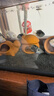 瘋狂水草魚(yú)缸造景擺件小魚(yú)蝦烏龜躲避屋迷你鸚鵡魚(yú)繁殖屋全套陶罐魚(yú)缸裝飾 【超值套餐二】螺紋罐+蘑菇屋+小烏龜 曬單實(shí)拍圖
