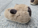 巴拉巴拉兒童棉拖鞋男女童寶寶2025家居鞋子包跟秋冬棉鞋動(dòng)物208425141227 曬單實(shí)拍圖
