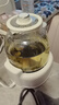 LOTOR全玻璃養生壺恒溫壺 養生杯辦公室多功能煮茶壺花茶壺 0金屬燒水壺 煮茶器 24h預約保溫 【升級水位監控】全玻璃養生壺 1.7L 曬單實(shí)拍圖