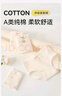 棉奇熊女童內褲純棉2025新款短褲A類(lèi)棉質(zhì)兒童四角褲女寶寶三角褲頭4條裝 P32-4條裝【A類(lèi)純棉 透氣親膚】 160 -4XL碼【體重85-105斤】 曬單實(shí)拍圖