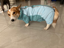 嬉皮狗（hipidog）全包撞色柯基沖鋒雨衣中小型犬臘腸犬四腳狗狗雨衣雨天寵物狗衣服 邦迪藍【卡碼建議拍大】 L （建議體重19-24斤） 曬單實(shí)拍圖