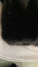 皮爾卡丹皮毛一體秋冬季新款水貂絨外套女短款保暖立領(lǐng)環(huán)保獺兔毛時(shí)尚外套 黑色高品質(zhì) M 105-120斤 曬單實(shí)拍圖