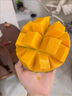 越南玉芒青皮芒果應季甜心好果新鮮直發(fā)非金煌水仙芒 精選5斤彩箱裝 【單果210g起】 曬單實(shí)拍圖