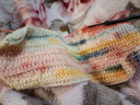 雪妃爾雪妃爾琉璃云毛線(xiàn)鉤針段染紗線(xiàn)噴毛紗手工編織落霞圍巾帽子毛衣 201朝霞 曬單實(shí)拍圖
