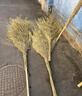 納福鳥(niǎo) 大掃把大掃帚掃院子掃馬路環(huán)衛學(xué)校庭院工廠(chǎng)車(chē)間專(zhuān)用家用4斤竹掃把新枝豪華款脫葉木柄（5把裝） 曬單實(shí)拍圖