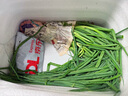 皓謙黃花菜新鮮金針菜涼拌時(shí)令蔬菜產(chǎn)地農家野菜 500g 曬單實(shí)拍圖