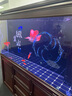 森森（SUNSUN）【包安裝】魚(yú)缸大型客廳生態(tài)超白玻璃水族箱底過(guò)濾龍魚(yú)缸免換水 1.5米長(cháng)42.2cm寬(剛果柚木)帶豪華禮包 曬單實(shí)拍圖