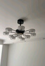 雷士（NVC）現代輕奢客廳隱形風(fēng)扇燈吊扇新款高級感餐廳 包安裝BY-DC-Q01-120 曬單實(shí)拍圖