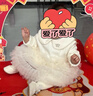班喜迪女童連衣裙秋冬裝新款洋氣兒童公主裙周歲寶寶禮服冬季小童網(wǎng)紗裙 米色 90 曬單實(shí)拍圖