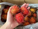 海南紅毛丹新鮮水果5斤毛荔枝毛丹果熱帶紅牡丹當季整箱順豐包郵 帶箱4斤裝 曬單實(shí)拍圖