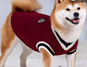 智宙狗狗衣服中型犬秋冬款保暖柴犬泰迪比熊法斗柯基學(xué)院風(fēng)衛毛衣秋季 酒紅學(xué)院風(fēng)毛衣 5XL建議45斤內 曬單實(shí)拍圖