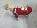 萌嘟星寵 狗狗衣服貓咪小狗小貓泰迪比熊小型犬幼犬新年保暖服飾秋冬裝L號 曬單實(shí)拍圖