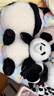 熊貓工廠(chǎng)官方5月齡萌蘭仿真熊貓基地可愛(ài)玩偶抱枕節日生日禮物毛絨玩具 5月齡萌蘭 長(cháng)35*寬35*高38 曬單實(shí)拍圖