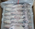 新鮮速凍筆管魚(yú) 鮮嫩海捕海兔小管魷魚(yú) 連云港產(chǎn)地直發(fā) 野生海捕筆管魚(yú)500g*1包1斤 曬單實(shí)拍圖