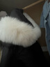 艾萊依甜美毛球羽絨服女質(zhì)感狐貍毛領(lǐng)長(cháng)款連帽保暖鴨絨外套 炭黑L 曬單實(shí)拍圖