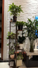 安爾雅花架子陽(yáng)臺落地置物架客廳現代簡(jiǎn)約多層架盆栽中式花盆架 曬單實(shí)拍圖