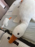 日本靠墊公仔大白鵝抱枕靠墊毛絨公仔布娃娃床上夾腿睡大白鵝禮物 大白鵝(仿兔毛款) 130cm*0cm 枕套 送同款 曬單實(shí)拍圖