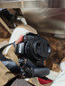 尼康（Nikon）【全新國行正品】Z50II/Z50ii/ Z502/Z50二代入門(mén)級微單相機輕便 Vlog濾鏡直出z50二代單機/單機 Z50II 16-50未開(kāi)封套機新手初學(xué)【可優(yōu)惠】 套餐一【至 曬單實(shí)拍圖