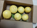 湖南懷化冰糖柚小苦柚子新鮮雪峰柚藥柚安江老樹(shù)安福金蘭柚帶箱 4.5斤裝【單果0.8-1斤】 曬單實(shí)拍圖
