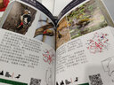 北京常見(jiàn)野鳥(niǎo)圖鑒 李兆楠 王瑞卿 李強 形態(tài)快速分類(lèi)檢索 自然環(huán)境 實(shí)用的觀(guān)鳥(niǎo)口袋工具書(shū) 北京野鳥(niǎo)科普圖鑒書(shū)籍 曬單實(shí)拍圖