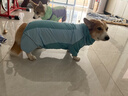 嬉皮狗（hipidog）全包撞色柯基沖鋒雨衣中小型犬臘腸犬四腳狗狗雨衣雨天寵物狗衣服 邦迪藍【卡碼建議拍大】 L （建議體重19-24斤） 曬單實(shí)拍圖