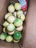 正宗廣西欽蜜9號黃金百香果鮮果新鮮應季純甜現摘整箱批發(fā) 整箱3斤 單果約45-60g 曬單實(shí)拍圖