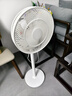 容聲電風(fēng)扇落地扇大風(fēng)力家用節能臥室辦公室輕音立式遙控電扇風(fēng)扇 基礎款 標準線(xiàn)-1.2米 曬單實(shí)拍圖